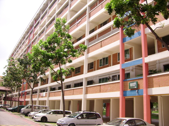 Blk 857 Tampines Parkview (Tampines), HDB Executive #110202